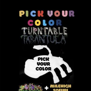 Pick Your Color Turntable Tarantula Preorder